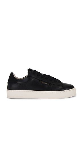 Zapatilla deportiva shana en color talla 35 en - Black. Talla 35 (también en 36, 38, 39, 40, 41) - ALLSAINTS - Modalova