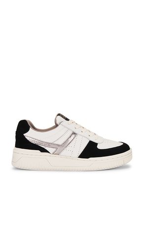 Zapatilla deportiva valentina en color blanco talla 35 en - White. Talla 35 (también en 36, 37, 38, 39, 40, 41) - ALLSAINTS - Modalova