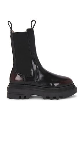 Alex Boot in . Size 36, 37, 38, 39, 40, 41 - ALLSAINTS - Modalova