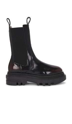 Alex Boot in . Size 36, 37, 38, 39, 40 - ALLSAINTS - Modalova