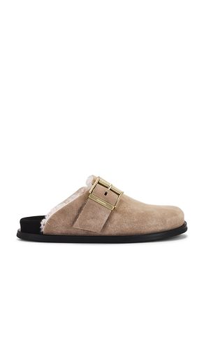 Eris Suede Mule in Taupe. - size 39 (also in 40) - ALLSAINTS - Modalova