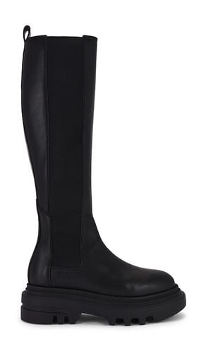 Monica Boot in . Size 37, 38, 39, 40 - ALLSAINTS - Modalova