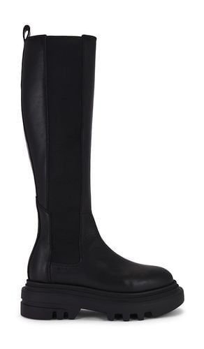 Monica Boot in . Size 40, 41 - ALLSAINTS - Modalova