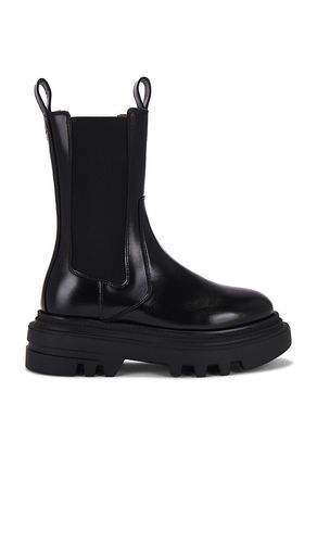 Alex Boot in . Size 37, 38, 39, 40, 41 - ALLSAINTS - Modalova