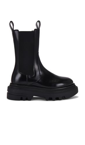 Alex Boot in . Size 41 - ALLSAINTS - Modalova