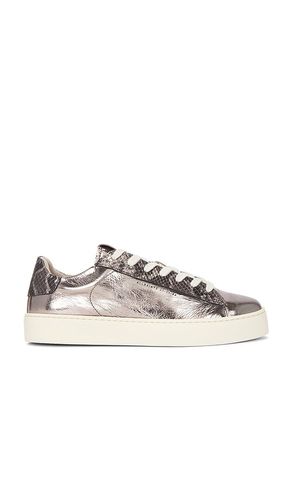 Shana Met Sneaker in Metallic . - size 37 (also in 38, 39, 40) - ALLSAINTS - Modalova