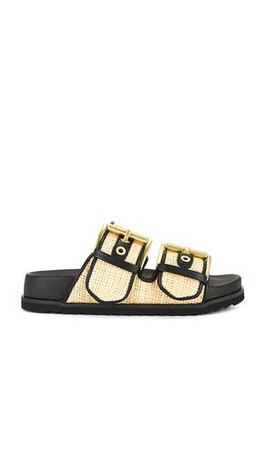 Sian Raffia Sandal in . - size 36 (also in 37, 38, 38.5, 39, 39.5, 40) - ALLSAINTS - Modalova