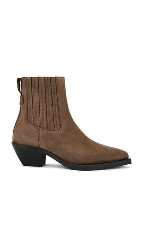 BOOT MARCIE SUEDE in . Größe 37. Also in 38, 39 - ALLSAINTS - Modalova