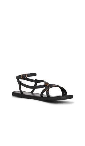 SANDALE TYLA EYELET in . Größe 11. Also in 7.5, 8, 8.5 - ALLSAINTS - Modalova