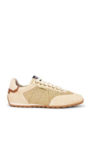 SNEAKERS LIAM LOW TOP in . Größe 11. Also in 7, 8 - ALLSAINTS - Modalova