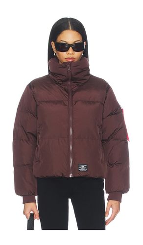 KURZE DAUNENJACKE SIERRA in . Größe L. Also in M, S, XS - ALPHA INDUSTRIES - Modalova