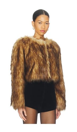 JACKE GINA in . Größe S. Also in M - A.L.C. - Modalova