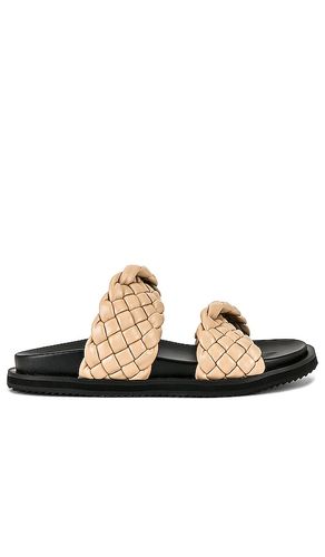 Soleis Slide Sandal in . Size 36, 37, 38, 39, 40, 41 - Alias Mae - Modalova
