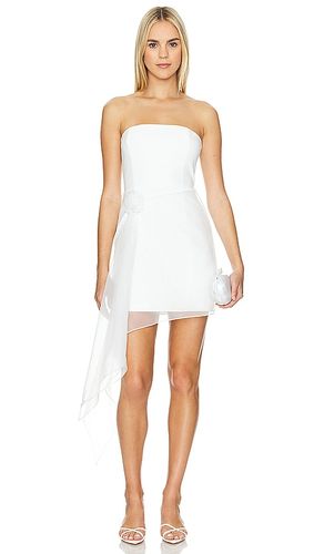 Mandy Rose Dress in . - size M (also in S, XL) - Amanda Uprichard - Modalova