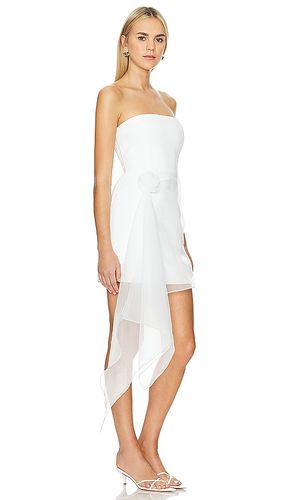 KLEID MANDY ROSE in . Größe M. Also in XL - Amanda Uprichard - Modalova