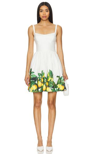 Napoli Dress in White. - size M (also in L, S, XL, XS) - Amanda Uprichard - Modalova