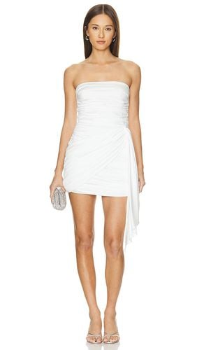 X REVOLVE Anja Mini Dress in . - size L (also in M, S, XL, XS) - Amanda Uprichard - Modalova