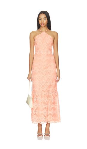 MAXIKLEID DARCEY in . Größe L. Also in M, S, XS - Amanda Uprichard - Modalova
