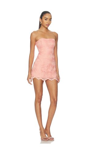 KURZOVERALL DAISY in . Größe L. Also in M - Amanda Uprichard - Modalova