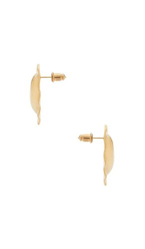 Sainte Earrings in - Amber Sceats - Modalova