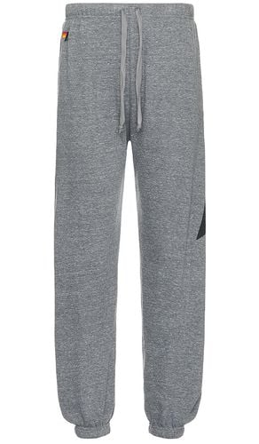 Bolt Mens Sweatpant in Grey. - size L (also in M, S, XL/1X) - Aviator Nation - Modalova