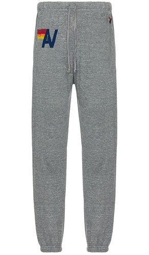 Logo Mens Sweatpant in Grey. - size L (also in M, S, XL/1X) - Aviator Nation - Modalova