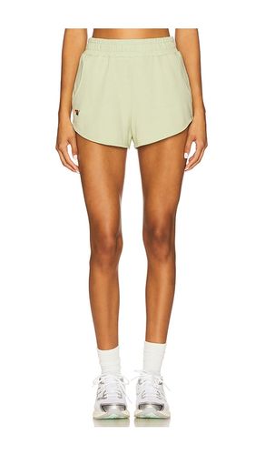 Essential Club Short in Green. - size L (also in M, S, XL, XS) - Aviator Nation - Modalova
