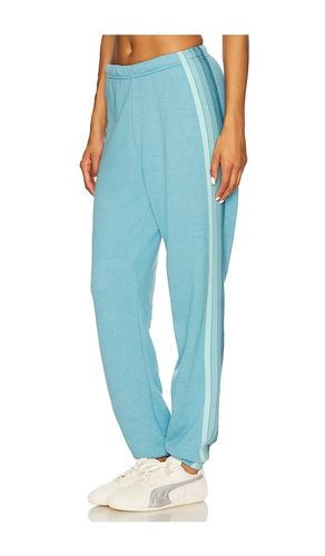Stripe Sweatpant in Blue. - size L (also in M, S, XL, XS) - Aviator Nation - Modalova