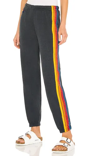 Stripe Sweatpant in . Size L. Also in S, XS - Aviator Nation - Modalova