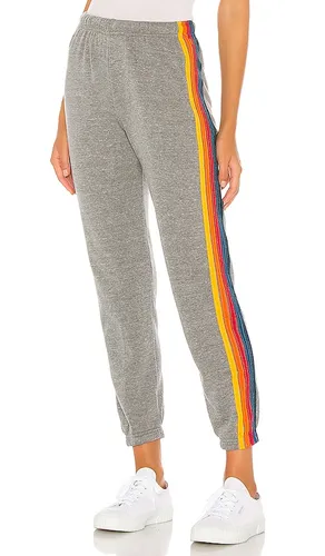 SWEATHOSE 5 STRIPE in . Größe S. Also in M, XL, XS - Aviator Nation - Modalova