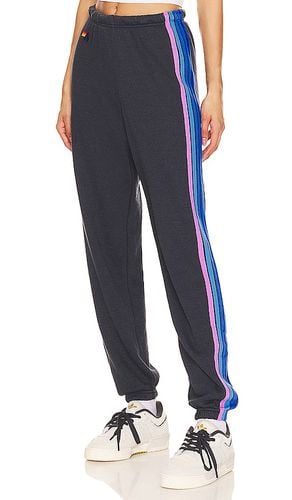 Stripe Sweatpant in . - size L (also in M, S, XS) - Aviator Nation - Modalova