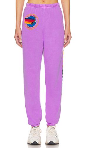 Sweatpant in Purple. - size L (also in M, S, XS) - Aviator Nation - Modalova