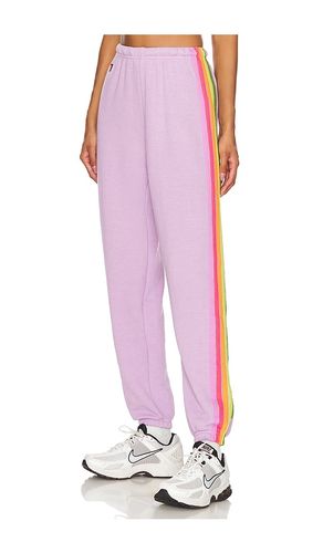 Stripe Sweatpant in Purple. - size L (also in M) - Aviator Nation - Modalova
