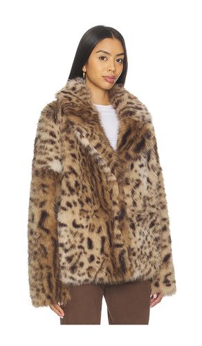 JACKE ROXETTE in . Größe M. Also in XS - Aniye By - Modalova