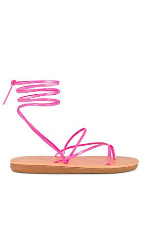 String Flip Flop in Pink. - size 35 (also in 37, 38, 39) - Ancient Greek Sandals - Modalova