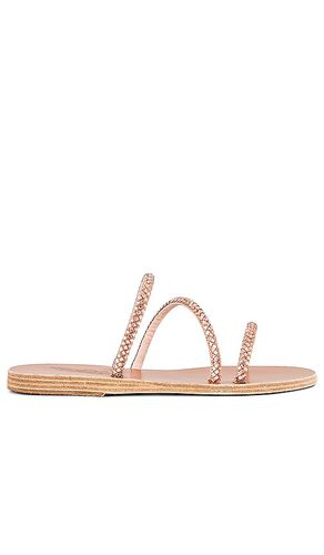 Polytimi Sandal in . - size 36 (also in 37) - Ancient Greek Sandals - Modalova