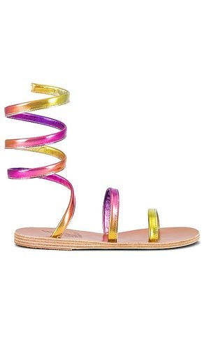 Ofis Wrap Sandal in Multi. - size 36 (also in 37, 39) - Ancient Greek Sandals - Modalova