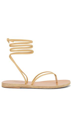 Celia Sandal in . Size 37 - Ancient Greek Sandals - Modalova