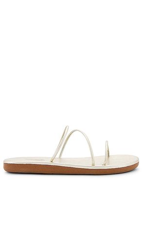 Polytimi Flip Flop Sandal in Metallic Gold. - size 36 (also in 38, 41, 42) - Ancient Greek Sandals - Modalova