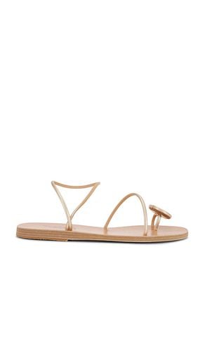 Diskos Sandal in Metallic Gold. - size 36 (also in 38, 39, 41, 42) - Ancient Greek Sandals - Modalova