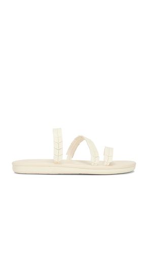 Sandalia iliana en color ivory talla 40 en - Ivory. Talla 40 (también en 41) - Ancient Greek Sandals - Modalova