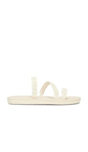 Iliana Sandal in Ivory. - size 36 (also in 37, 38, 39, 40, 41, 42) - Ancient Greek Sandals - Modalova