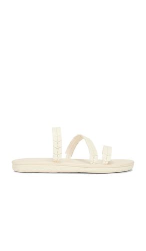 Iliana Sandal in Ivory. - size 36 (also in 37, 38, 39, 40, 41) - Ancient Greek Sandals - Modalova