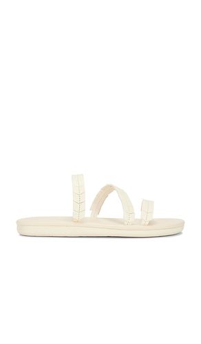 Iliana Sandal in Ivory. - size 36 (also in 37, 40, 41, 42) - Ancient Greek Sandals - Modalova