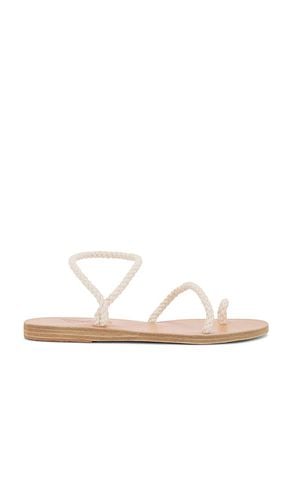 Thilia Sandal in Neutral. - size 36 (also in 37, 39, 40, 42) - Ancient Greek Sandals - Modalova