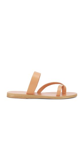 Daphnae Sandal in Neutral. - size 36 (also in 37, 38, 39, 40, 41, 42) - Ancient Greek Sandals - Modalova