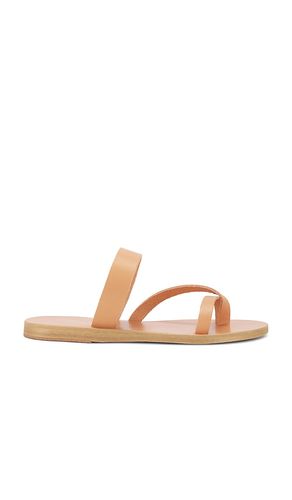 Daphnae Sandal in Neutral. - size 36 (also in 38, 42) - Ancient Greek Sandals - Modalova