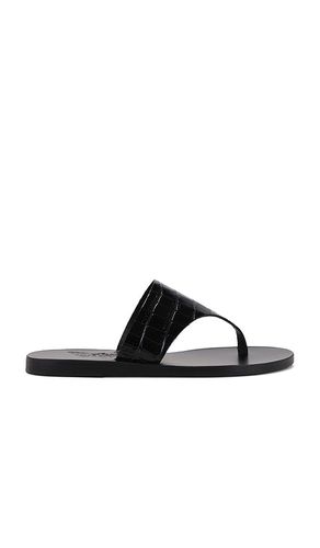 Mera Croc Sandal in . - size 36 (also in 39, 42) - Ancient Greek Sandals - Modalova