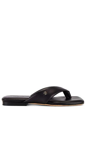 Viola Flat Sandals in . - size 37 (also in 38) - ANINE BING - Modalova