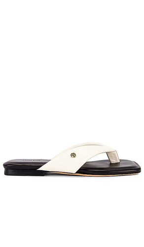 Viola Flat Sandals in . Size 36, 38, 39 - ANINE BING - Modalova